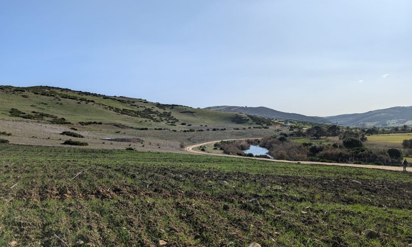 Terreno titulado a la venta - view 4