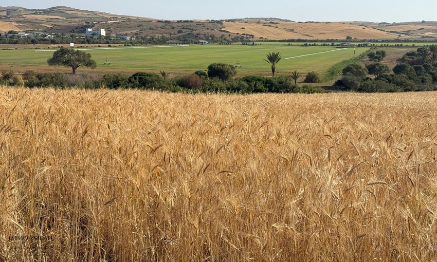 Terreno titulado a la venta - view 6