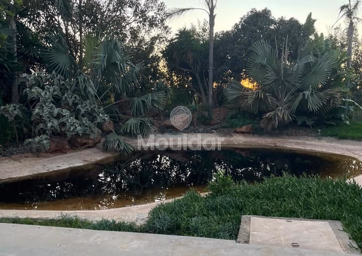 Ferme à vendre à Dar Bouazza - 9313 m², Titré, zone Villa Ferme à vendre à Dar Bouazza - 9313 m², Titré, zone Villa