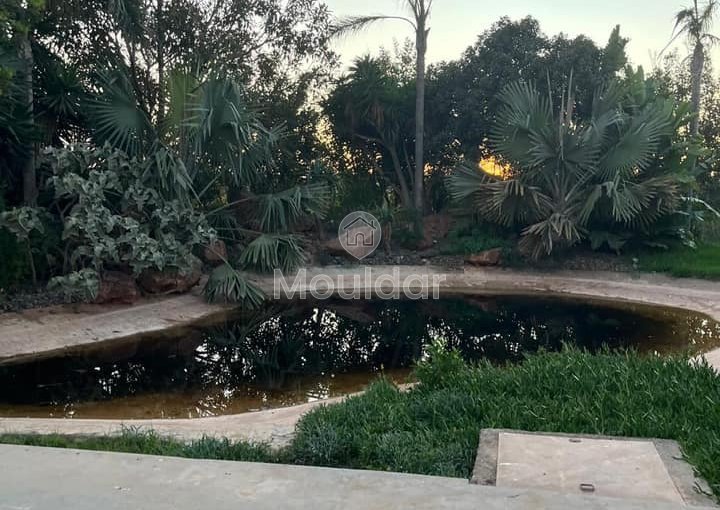 Boerderij te koop in Dar Bouazza - 9313 m², getiteld, villa-zone - view 14