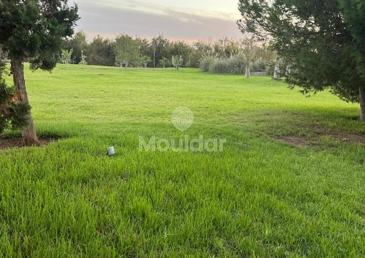 Boerderij te koop in Dar Bouazza - 9313 m², getiteld, villa-zone - view 15