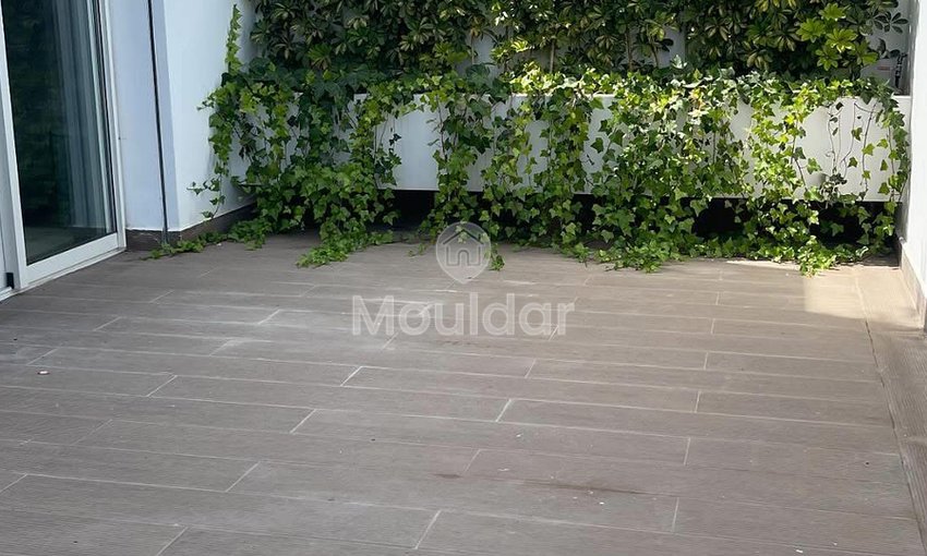 Neues möbliertes Studio mit Hof in Oasis - view 4