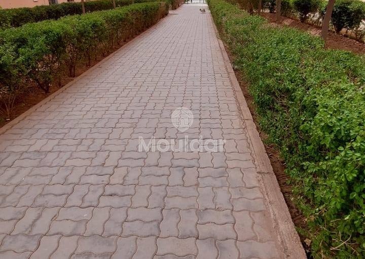 Chri Darak shri dark - view 7