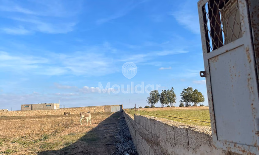 Titled land of 5280m² with shop in Safi - Agricultural Titled land of 5280m² with shop in Safi - Agricultural