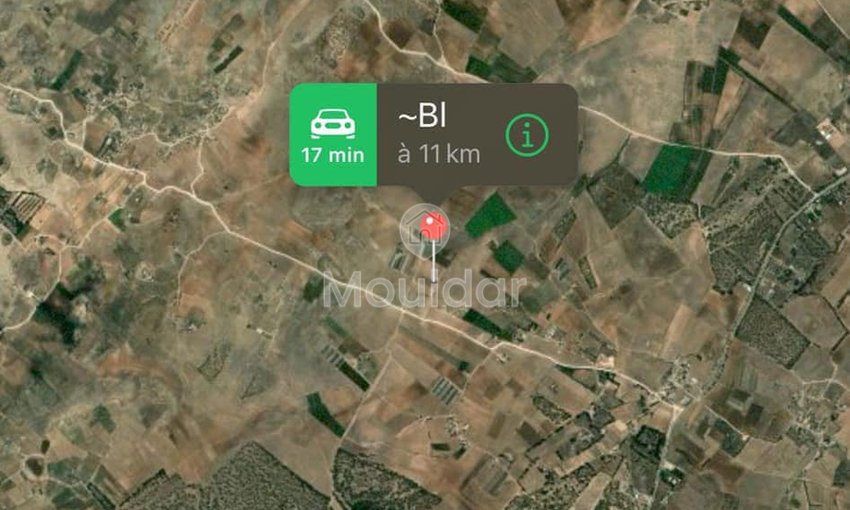 قطعة أرض مسجلة بمساحة 5280م² مع متجر في آسفي - زراعية - view 5