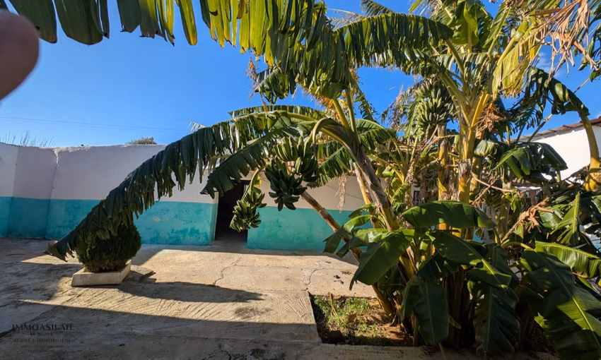 Maison à louer avec terrasse
