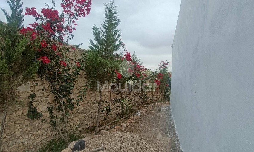 منزل جذاب للإيجار في الصويرة: 3 غرف نوم واسعة - view 13