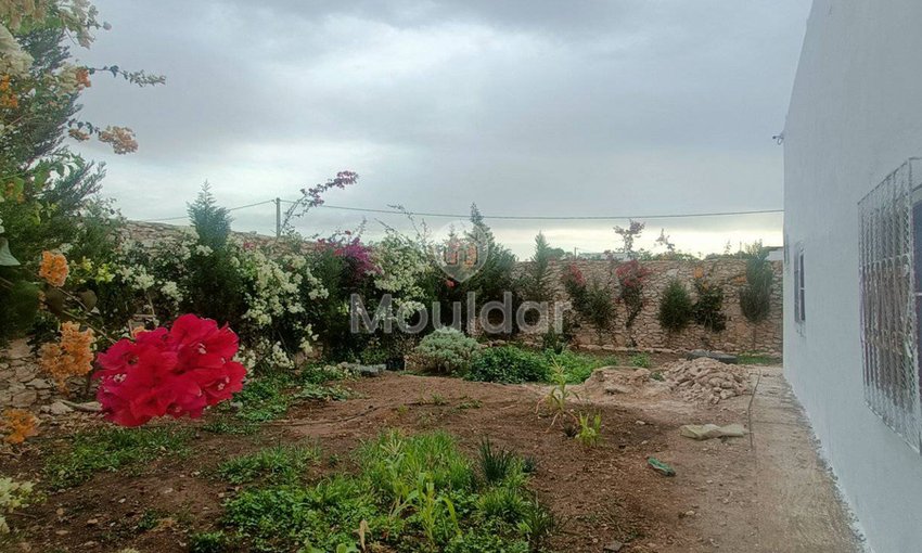 منزل جذاب للإيجار في الصويرة: 3 غرف نوم واسعة - view 14