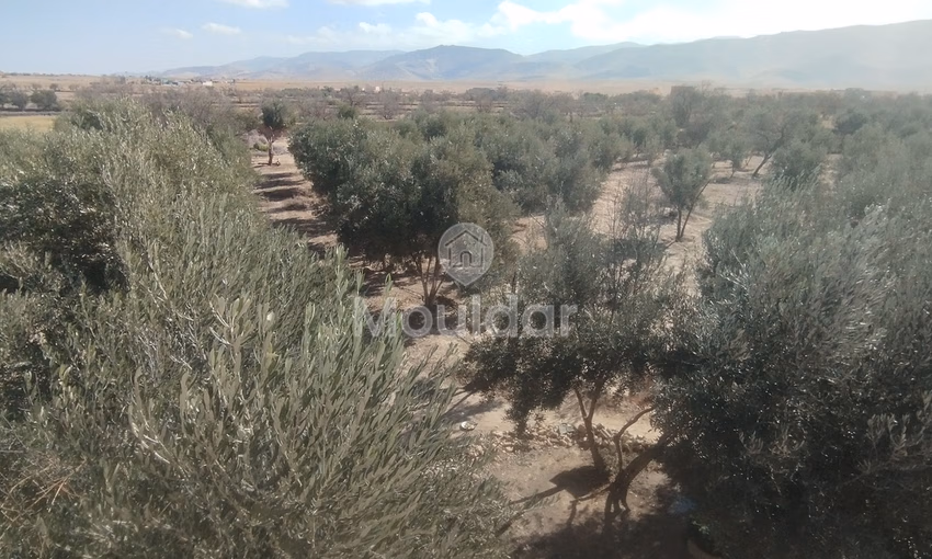 أرض زراعية للبيع في إيدويران - فرصة فريدة