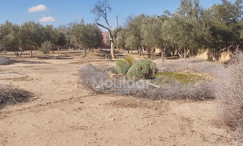 أرض زراعية للبيع في إيدويران - فرصة فريدة