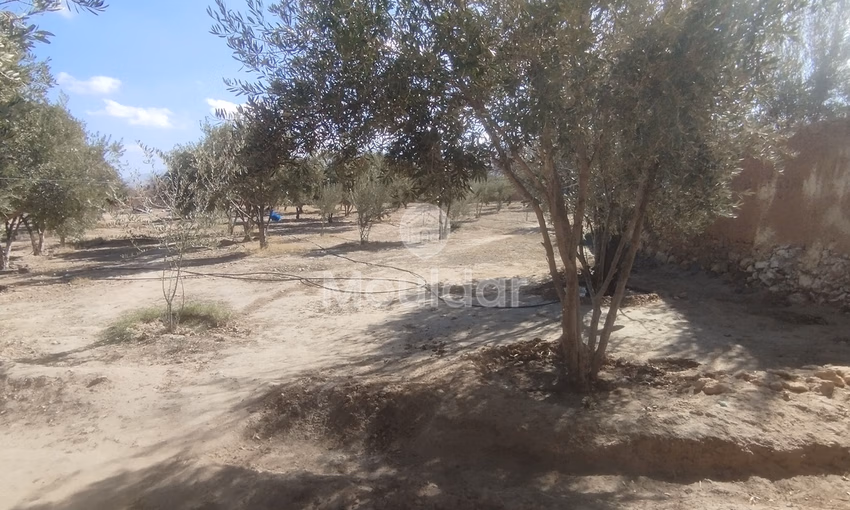 أرض زراعية للبيع في إيدويران - فرصة فريدة