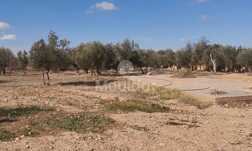 أرض زراعية للبيع في إيدويران - فرصة فريدة