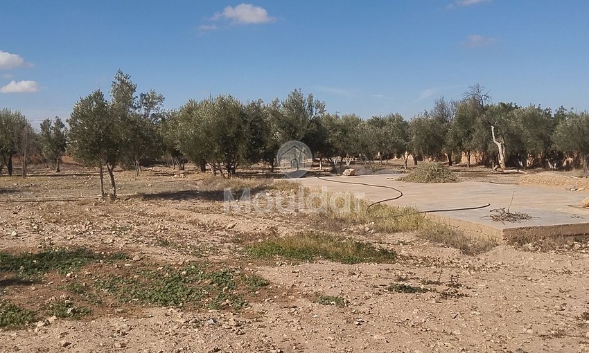 Terreno Agricolo in Vendita a Idouirane - Opportunità Unica - view 3