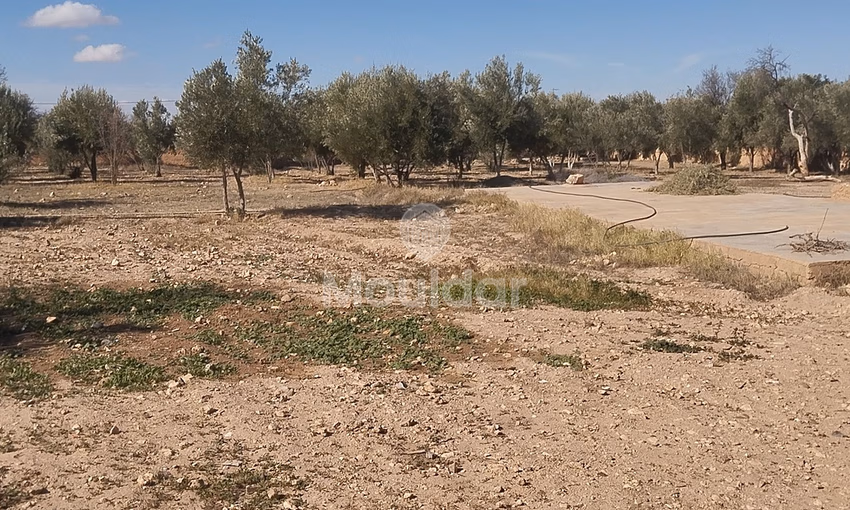 أرض زراعية للبيع في إيدويران - فرصة فريدة