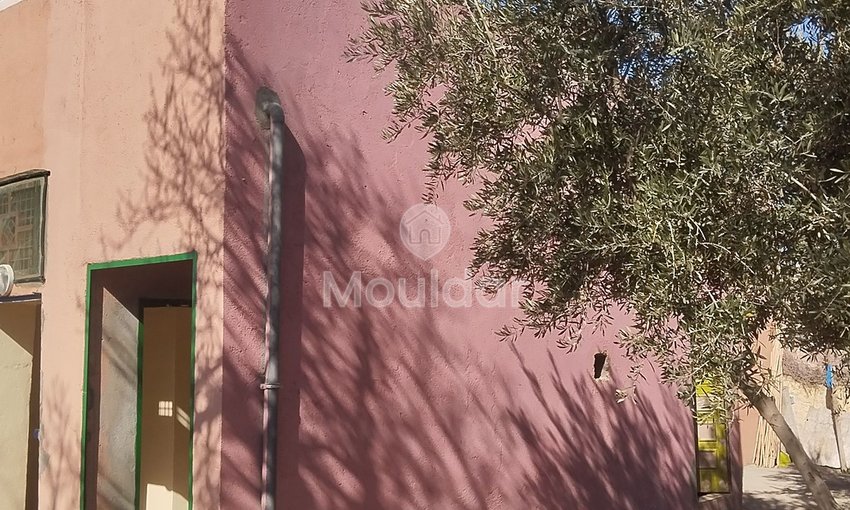 Terreno Agricolo in Vendita a Idouirane - Opportunità Unica - view 8