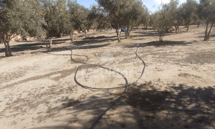 أرض زراعية للبيع في إيدويران - فرصة فريدة