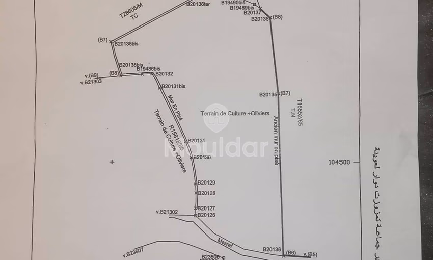Terrain Agricole à Vendre à Marrakech - Sidi Abdellah Ghiat Terrain Agricole à Vendre à Marrakech - Sidi Abdellah Ghiat