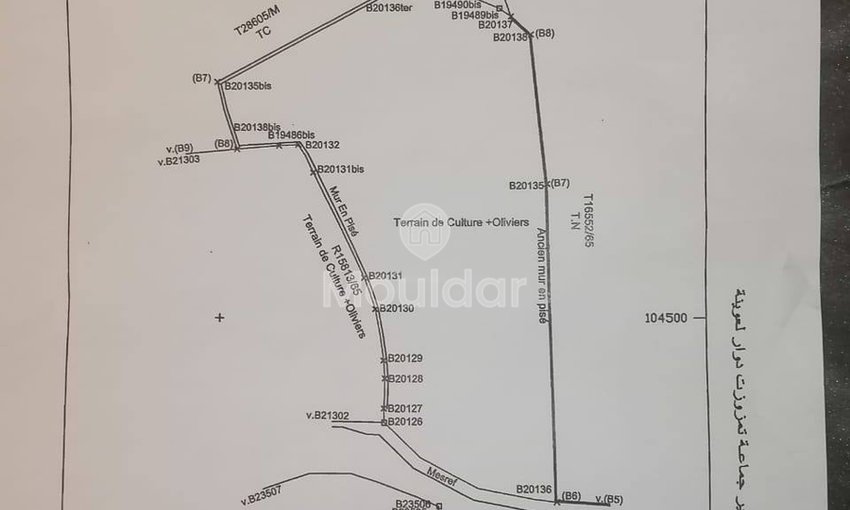 Landbouwgrond te koop in Marrakech - Sidi Abdellah Ghiat - view 10