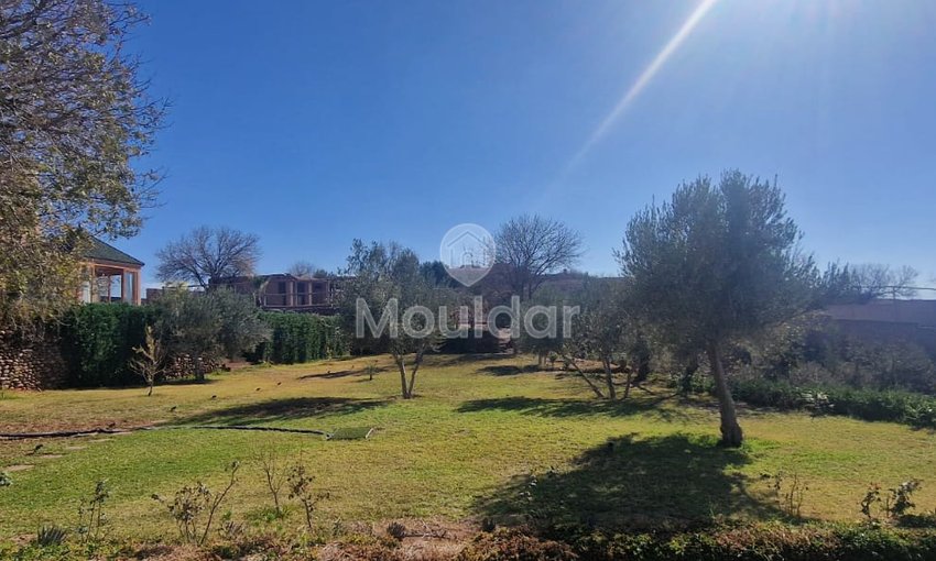 Villa spacieuse de 5 chambres à louer à Marrakech, Route d'Amezmiz - view 20