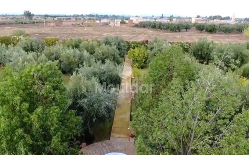 Grond te Koop in Marrakech - Unieke Kans - view 11