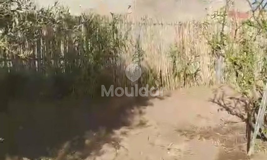 أرض زراعية للبيع في مراكش - فرصة استثنائية - view 5