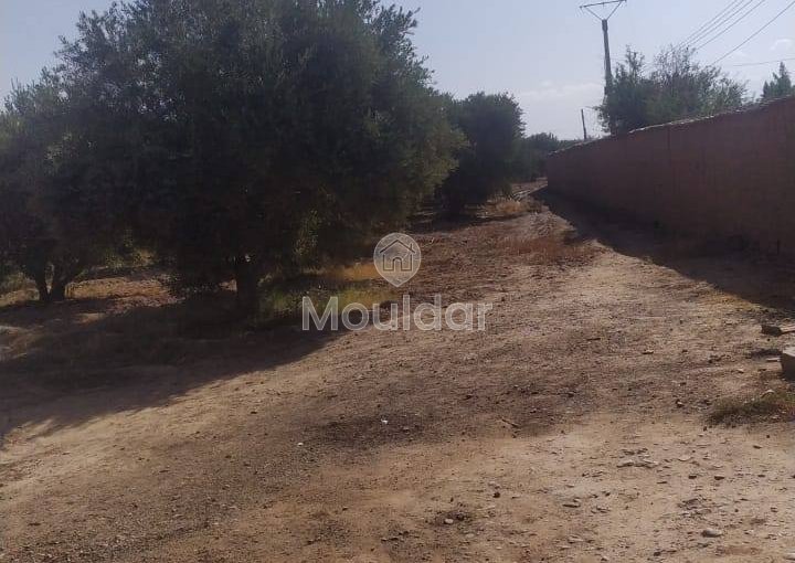 أرض زراعية للبيع في مراكش - فرصة استثنائية - view 6