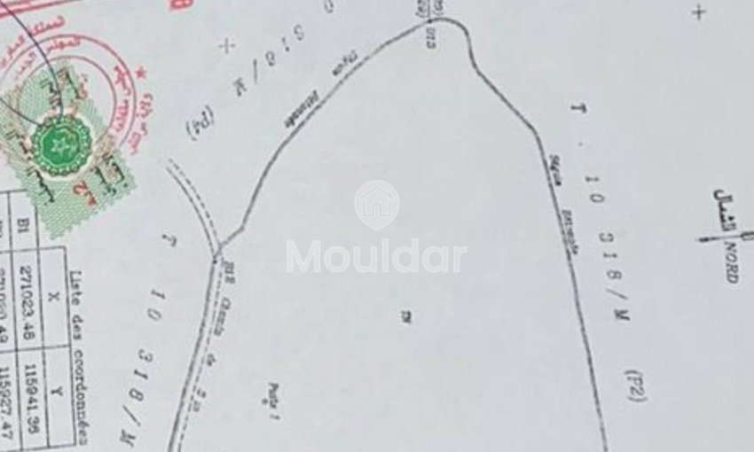 Agrarisch Perk in Verkoop in Marrakech - 20.000 m² Uitzonderlijk - view 6