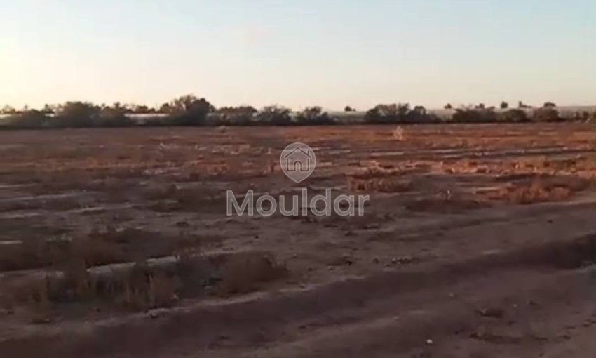 Agrarisch Perk in Verkoop in Marrakech - 20.000 m² Uitzonderlijk - view 3