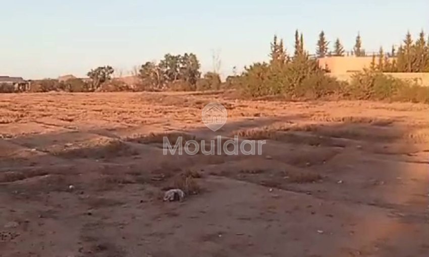 Agrarisch Perk in Verkoop in Marrakech - 20.000 m² Uitzonderlijk - view 2