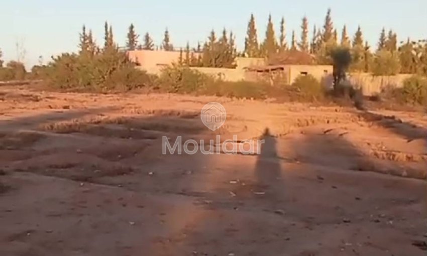 Agrarisch Perk in Verkoop in Marrakech - 20.000 m² Uitzonderlijk - view 4