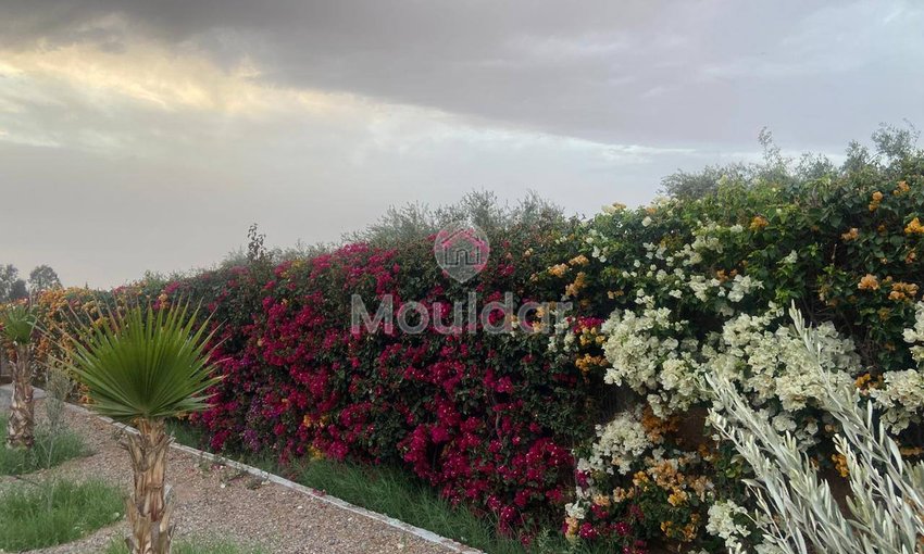 Βίλα Πολυτελείας προς Πώληση στη Μαρασκές - 4000 m² Αποκλειστική Έκταση - view 10