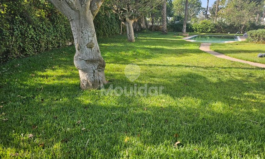 Villa spacieuse à vendre à Aïn Diab, Casablanca - 6 chambres, 1711 m² - view 7