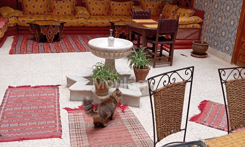 Riad na sprzedaż w Marrakeszu: 7 pokoi w Bab Doukkala - view 3