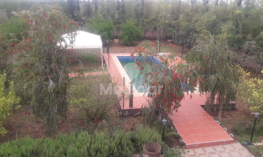 Villa di lusso in affitto a Marrakech - Fuga indimenticabile - view 2