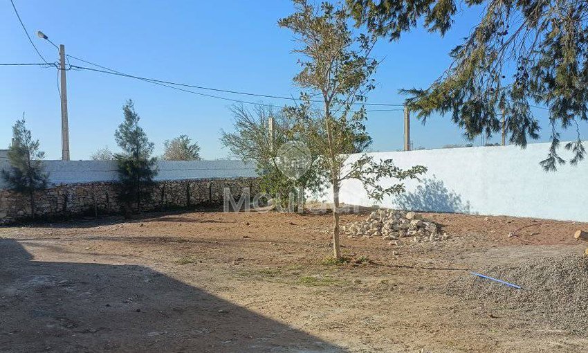 Casă fermecătoare de închiriat în Essaouira - Ideală și spațioasă - view 17