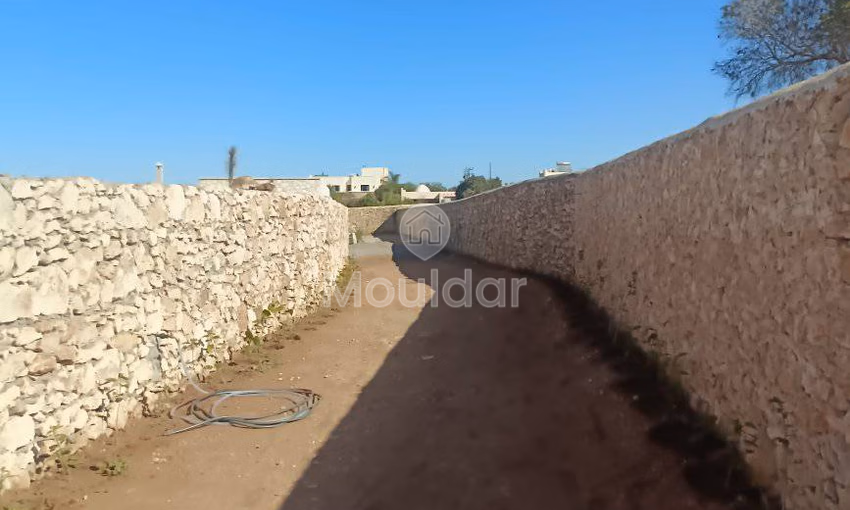Spacious Villa for Rent in Essaouira - Ideal Getaway