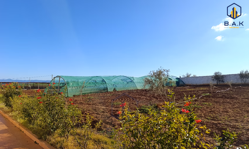 Farm title for sale Khmis Sidi Yahya Farm title for sale Khmis Sidi Yahya