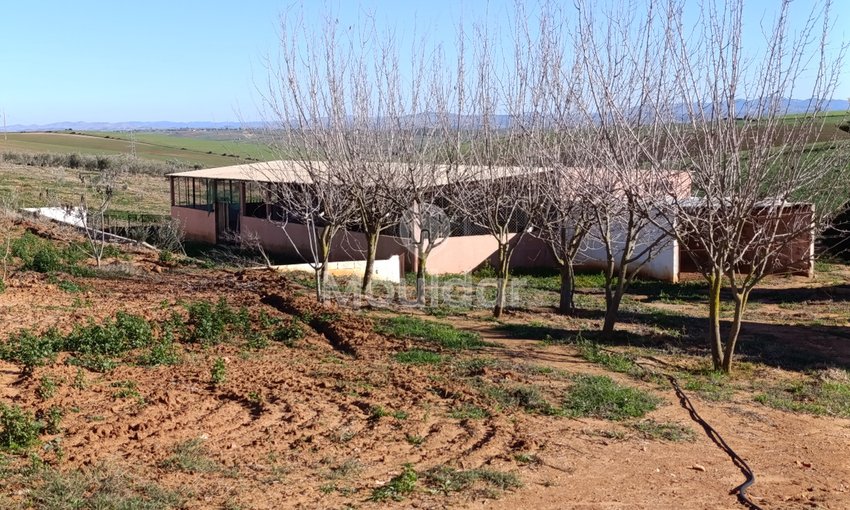 Fermă de vânzare în Tifelt: 50.000 m² - view 25