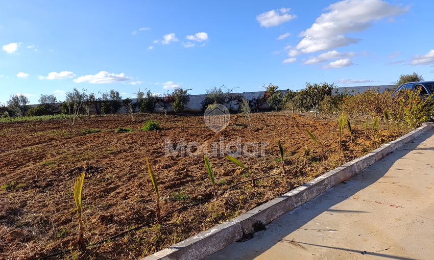 Ferme à Vendre à Tifelt : 50 000 m² Agréables Ferme à Vendre à Tifelt : 50 000 m² Agréables