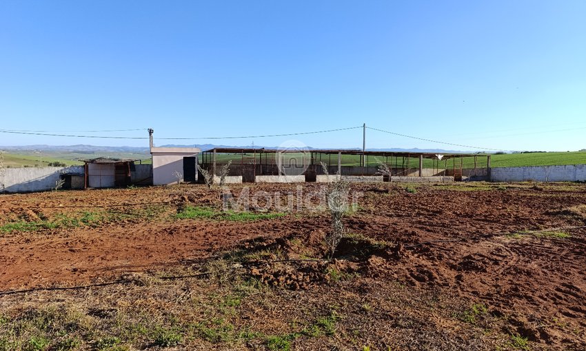 Fermă de vânzare în Tifelt: 50.000 m² - view 16