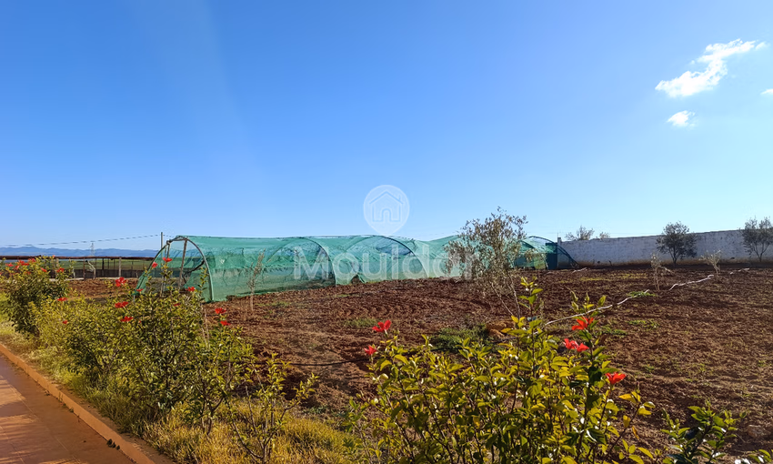 Ferme à Vendre à Tifelt : 50 000 m² Agréables Ferme à Vendre à Tifelt : 50 000 m² Agréables