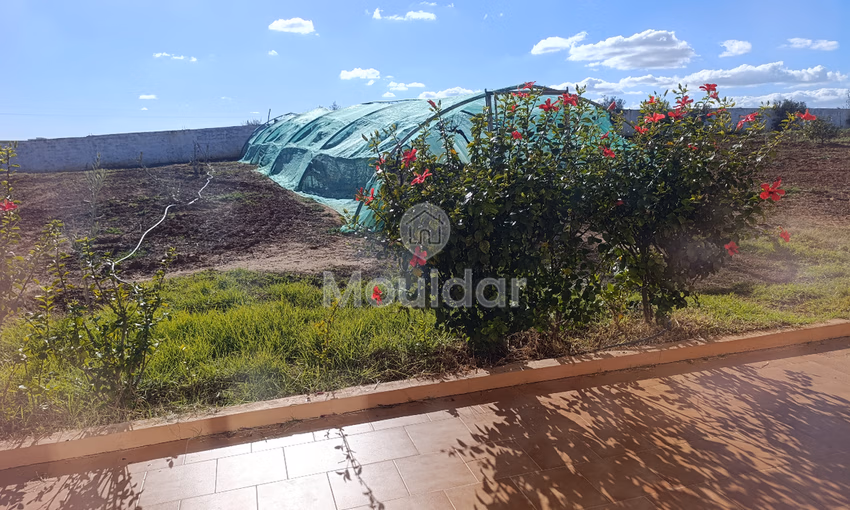 Ferme à Vendre à Tifelt : 50 000 m² Agréables Ferme à Vendre à Tifelt : 50 000 m² Agréables