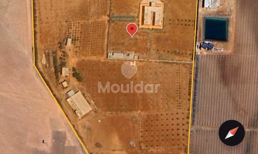 Ferme à Vendre à Tifelt : 50 000 m² Agréables Ferme à Vendre à Tifelt : 50 000 m² Agréables