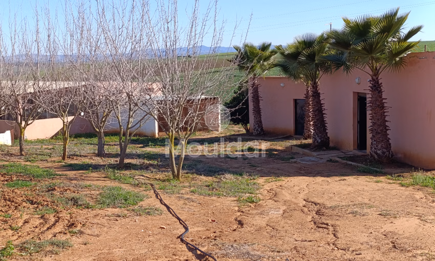 Ferme à Vendre à Tifelt : 50 000 m² Agréables Ferme à Vendre à Tifelt : 50 000 m² Agréables
