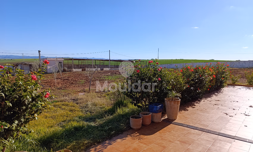 Ferme à Vendre à Tifelt : 50 000 m² Agréables Ferme à Vendre à Tifelt : 50 000 m² Agréables