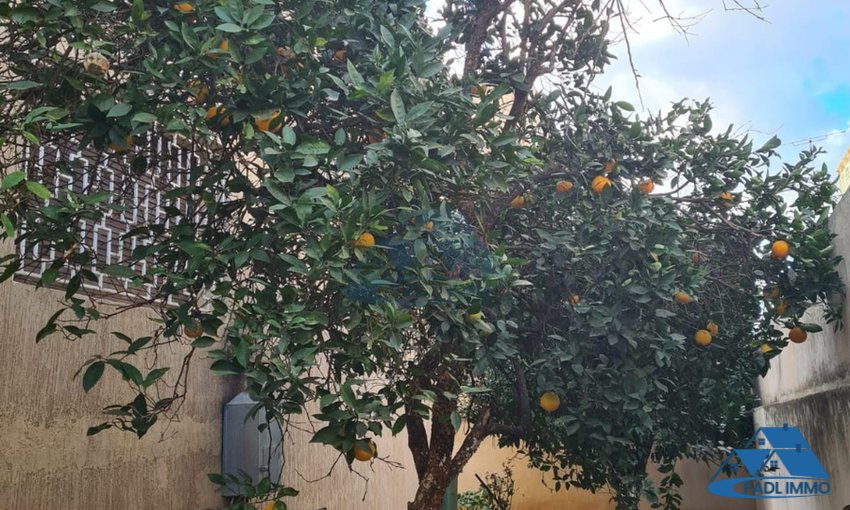 VENTA BONITA VILLA EN HAY SALAM SALÉ - view 5