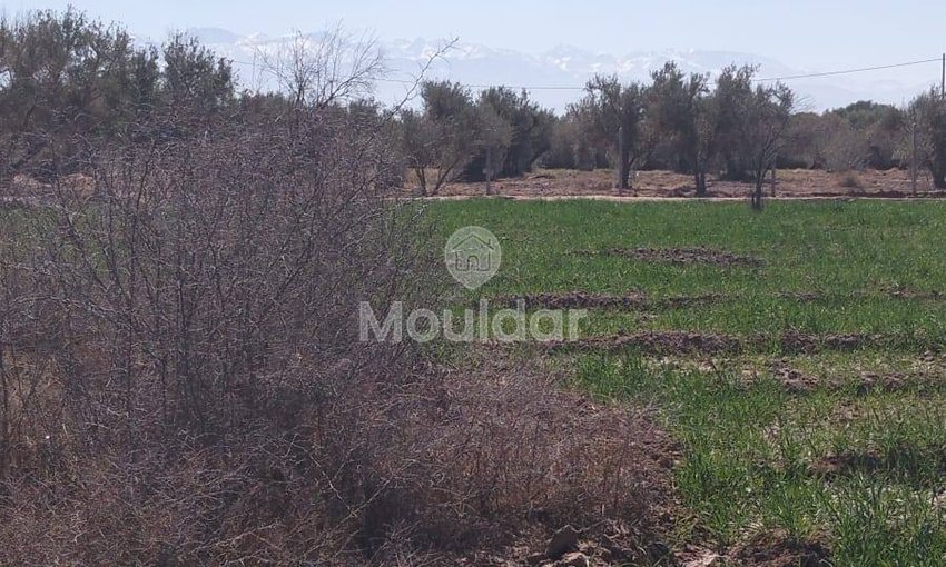 Teren agricol spre vânzare în Marrakech: 35.000 m² de oportunități - view 5