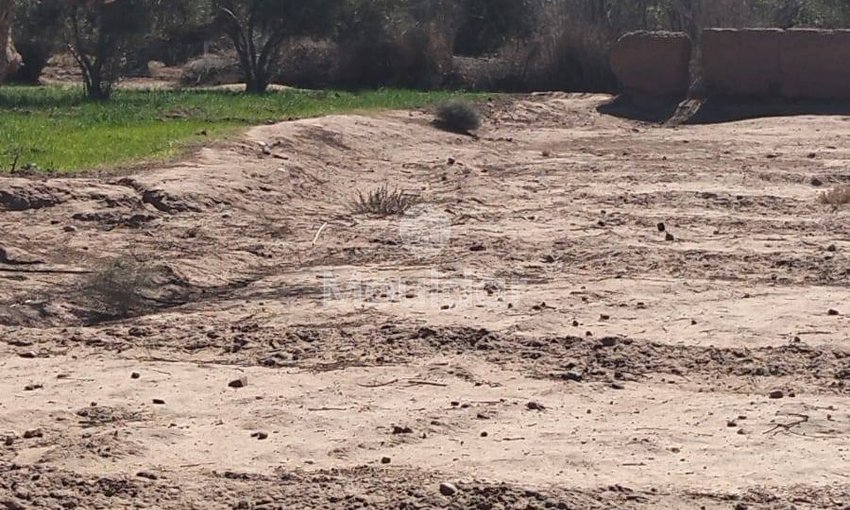 Teren agricol spre vânzare în Marrakech: 35.000 m² de oportunități - view 3