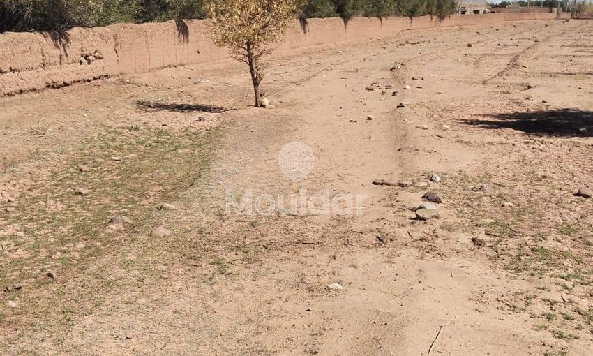 Teren agricol spre vânzare în Marrakech: 35.000 m² de oportunități - view 6