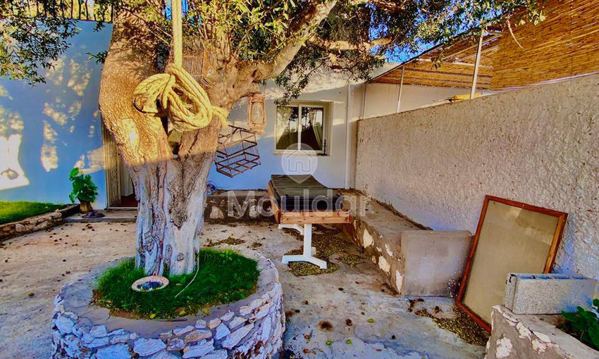 Charming House for Rent in Essaouira: Ideal for You